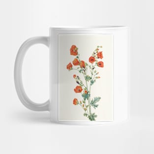 Scarlet globemallow - Botanical Illustration Mug